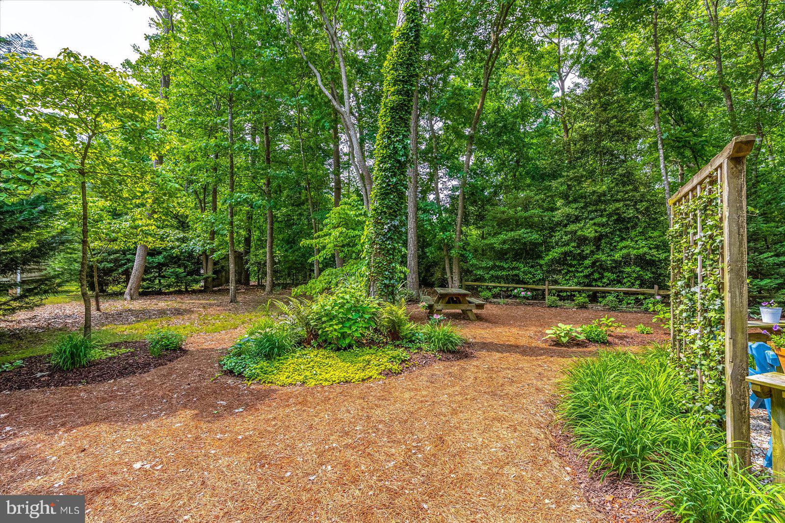 OCEAN PINES - PINEHURST - Residential