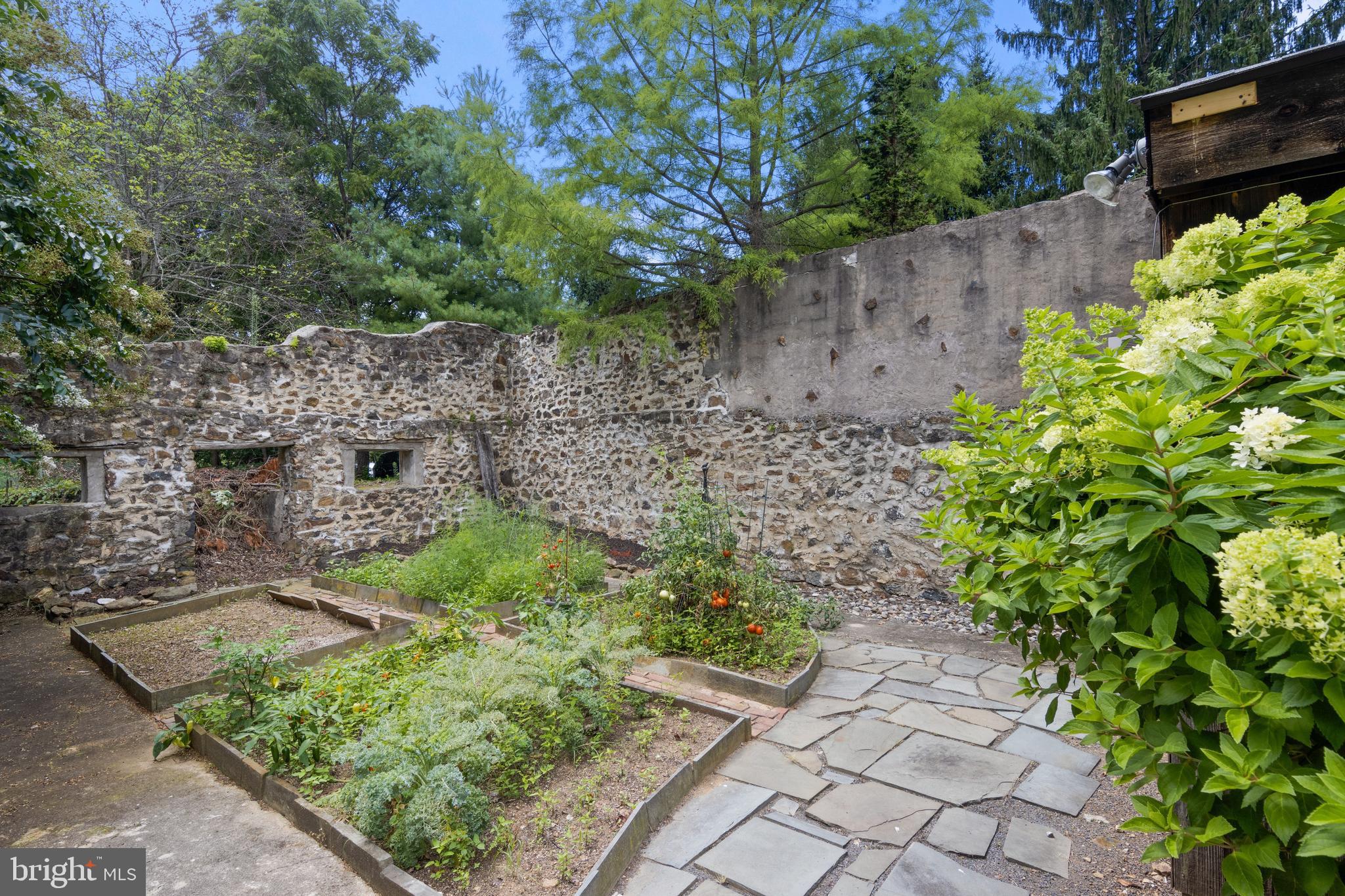 CHESTER SPRINGS - Residential