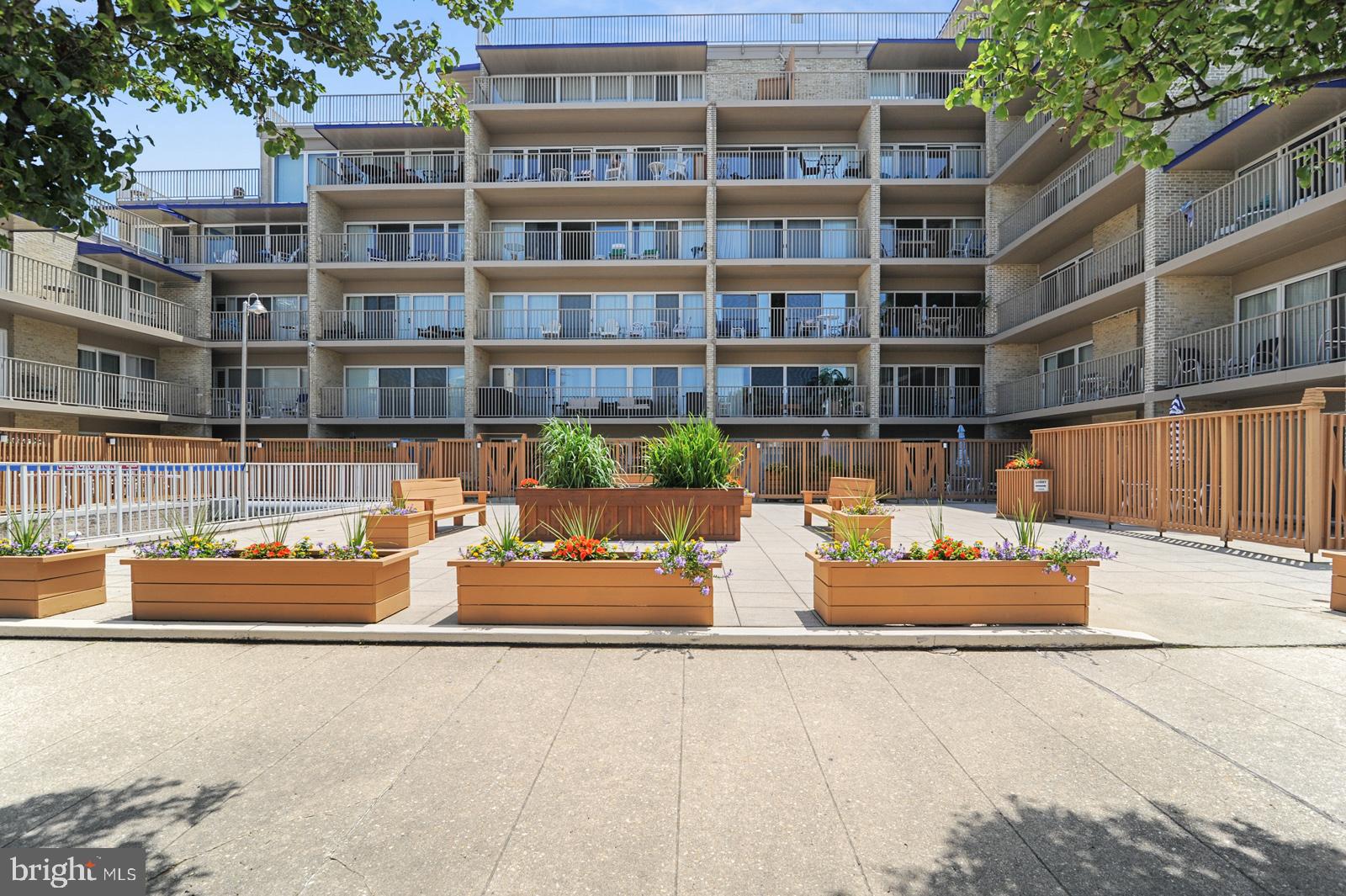 8 OLIVE AVENUE 102