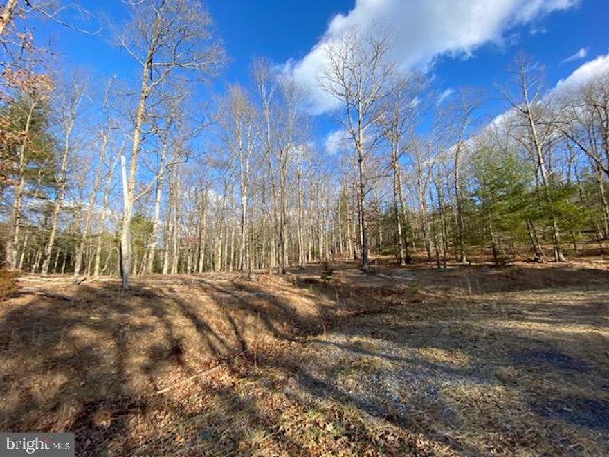for the first time. This lot is in the new Phase II of Slate Rock Crossing. Here you can explore the restaurants, country shopping, farmers market, coffee shop, bakery, antiques, groceries, and Magnificent views with park like trees, just outside of the Village of Wardensville. Just offered community park. All lots are approved for Conventional Class1 septic systems. Fully developed lots with all Perk Approvals by the Health Department of Record. Wide roads, Available Fiber Optic Service and Electric, Cell Phone coverage is Sprint and AT&T.