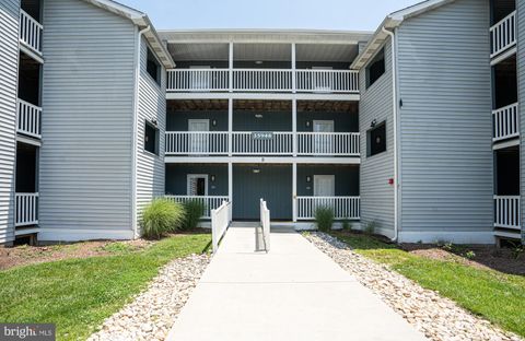 35948 HAVEN DRIVE 103 REHOBOTH BEACH DE 19971