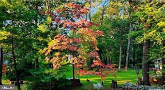 CLEARVIEW FARMS - Residential