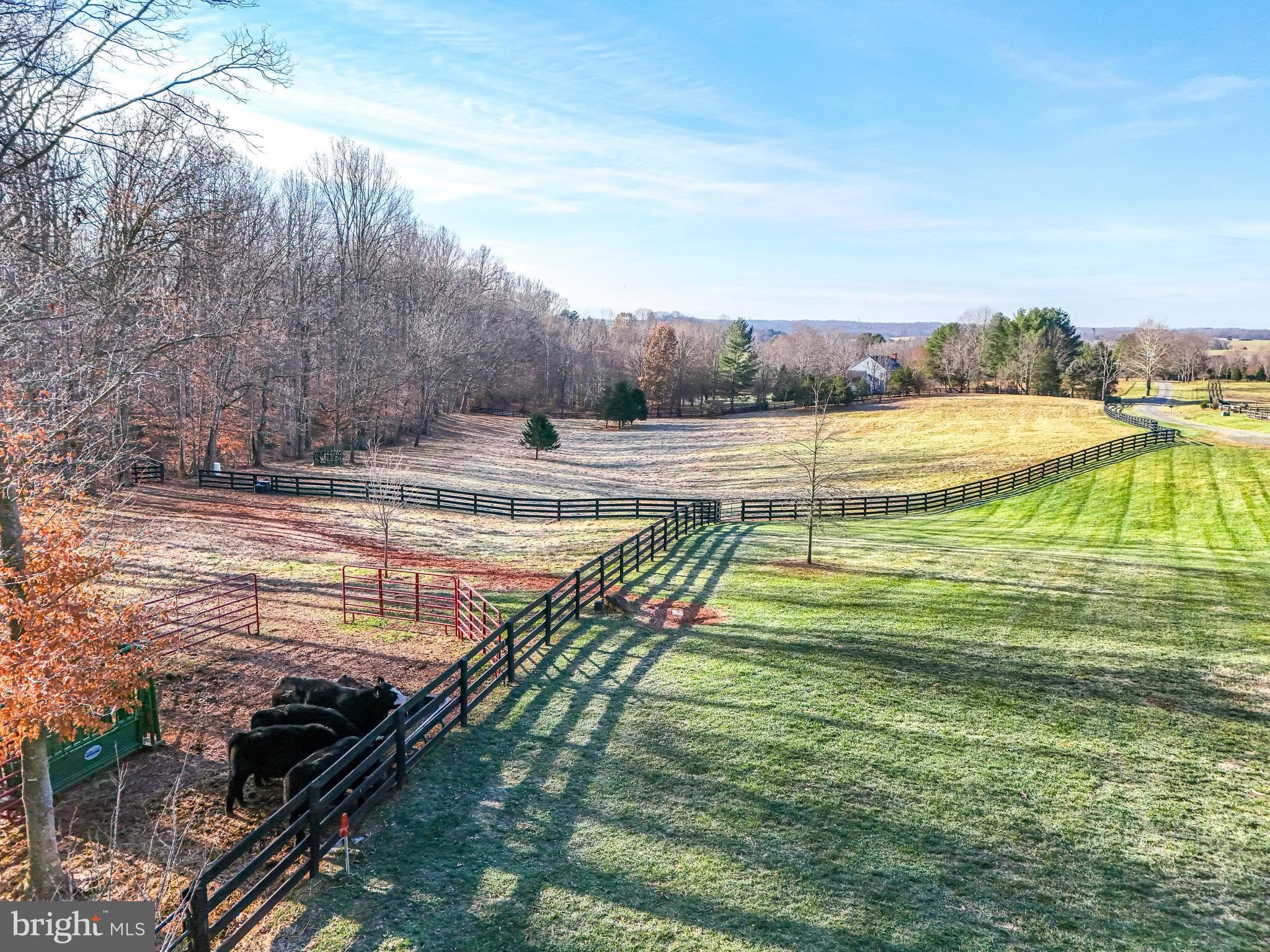 PIEDMONT SPRINGS - Residential