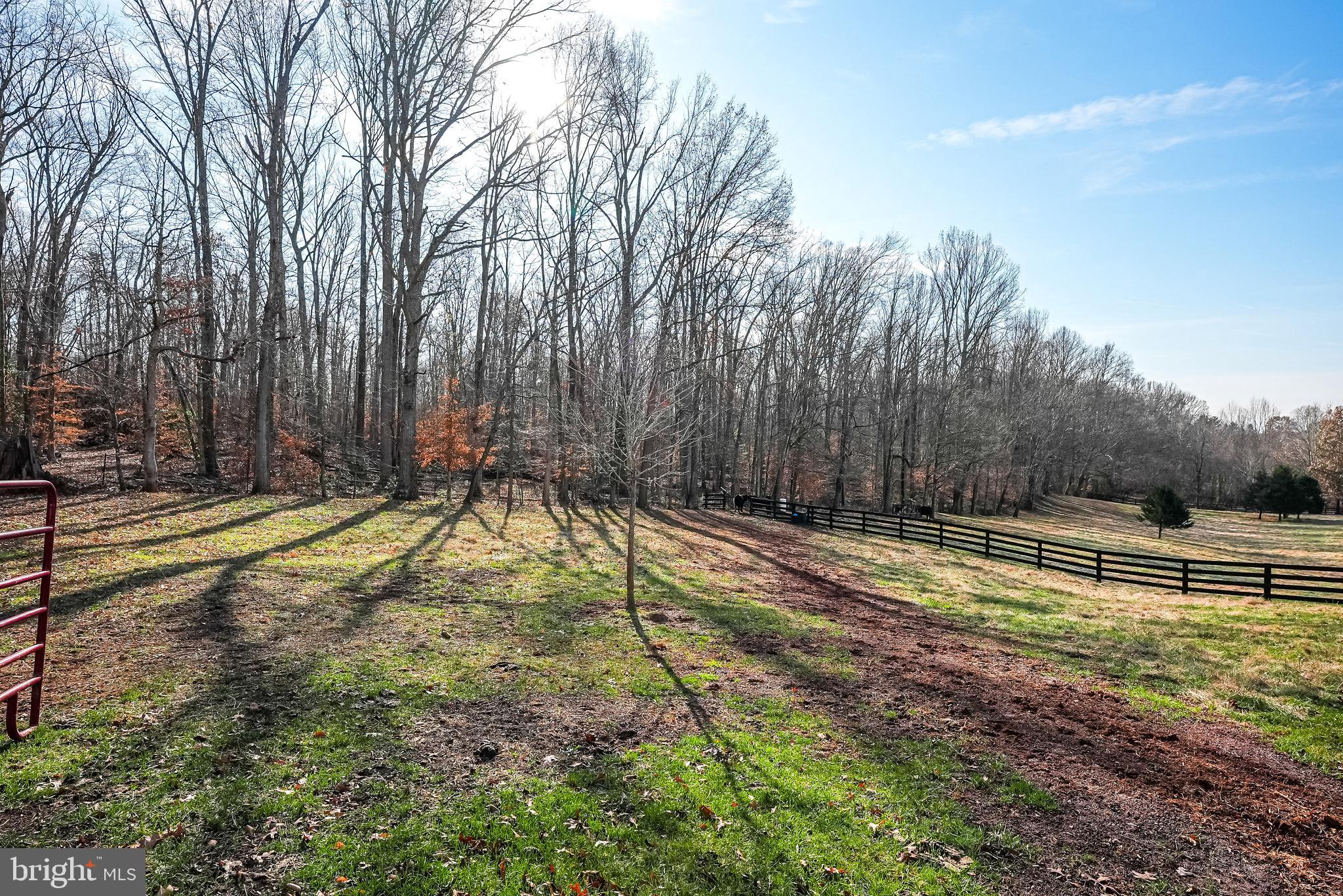 PIEDMONT SPRINGS - Residential