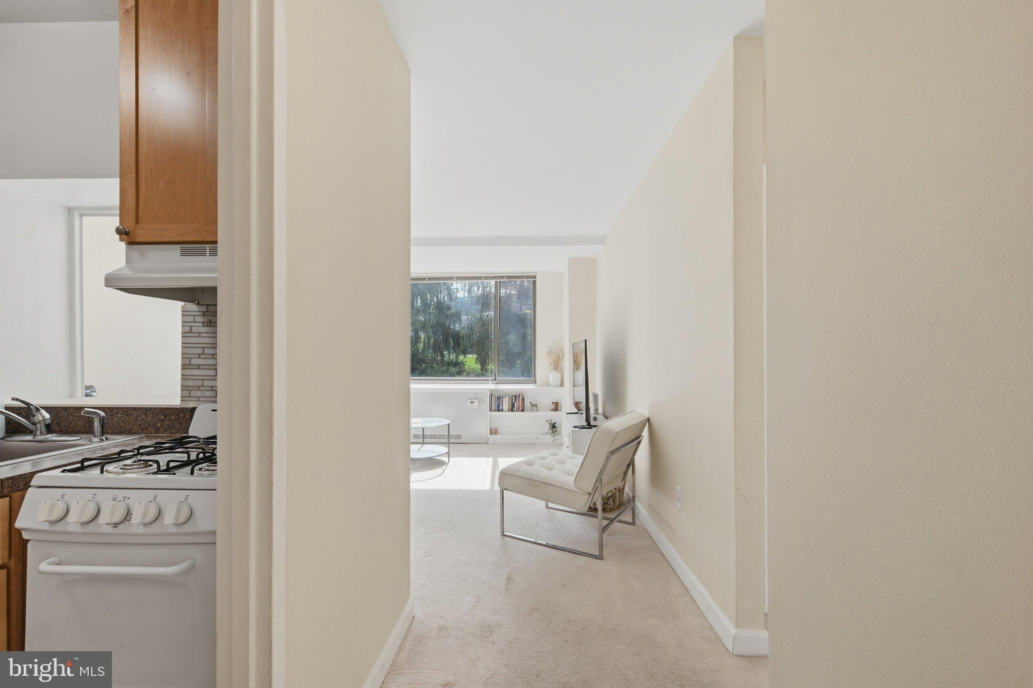 1111 ARLINGTON BOULEVARD 316