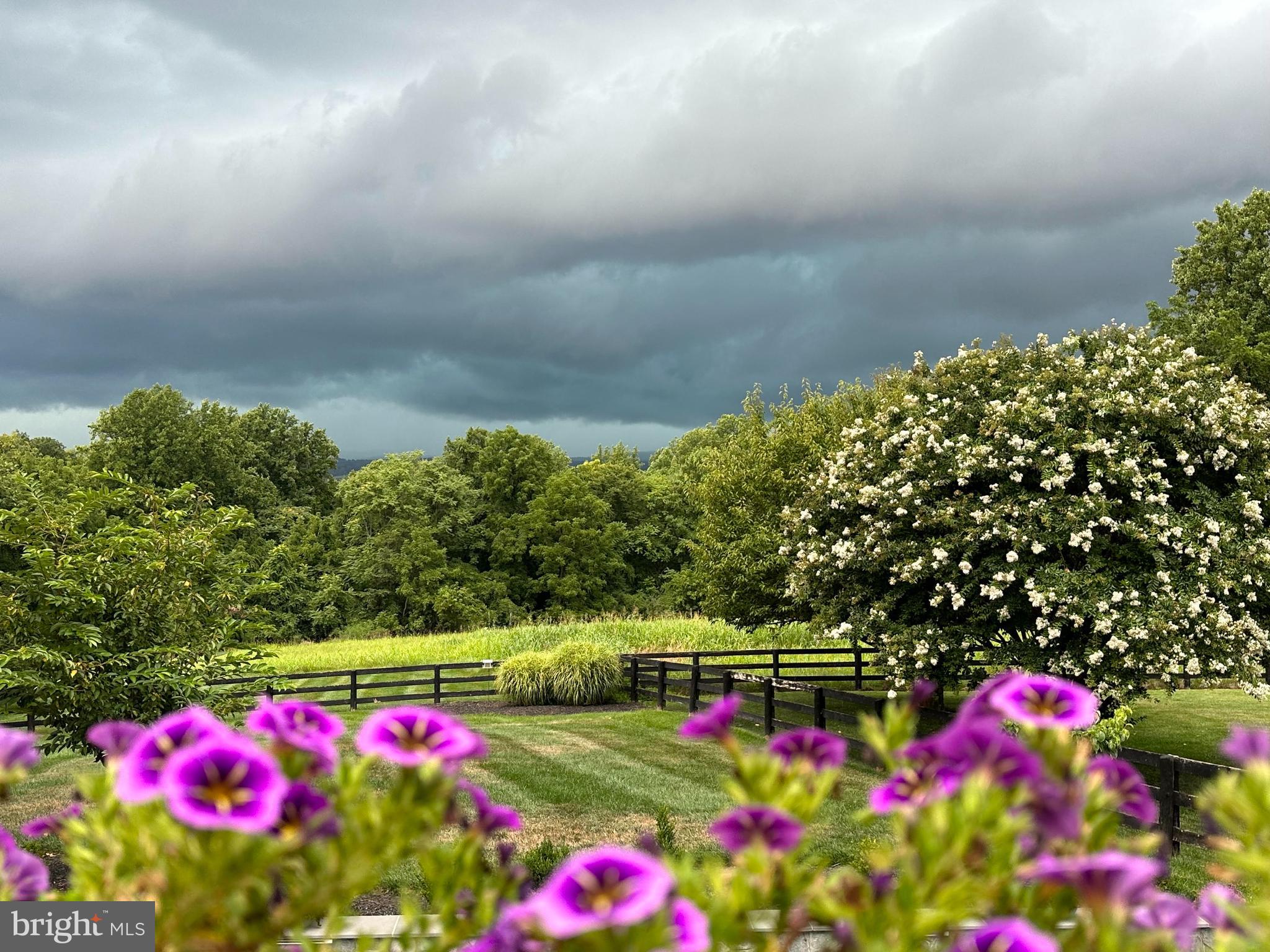 MOUNT GILEAD - Residential