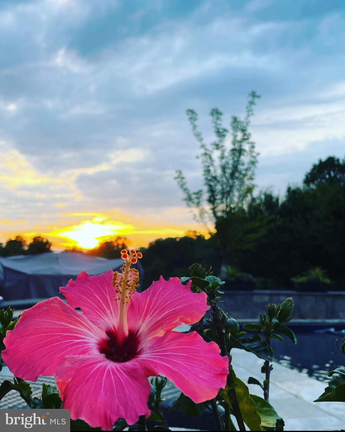 MOUNT GILEAD - Residential