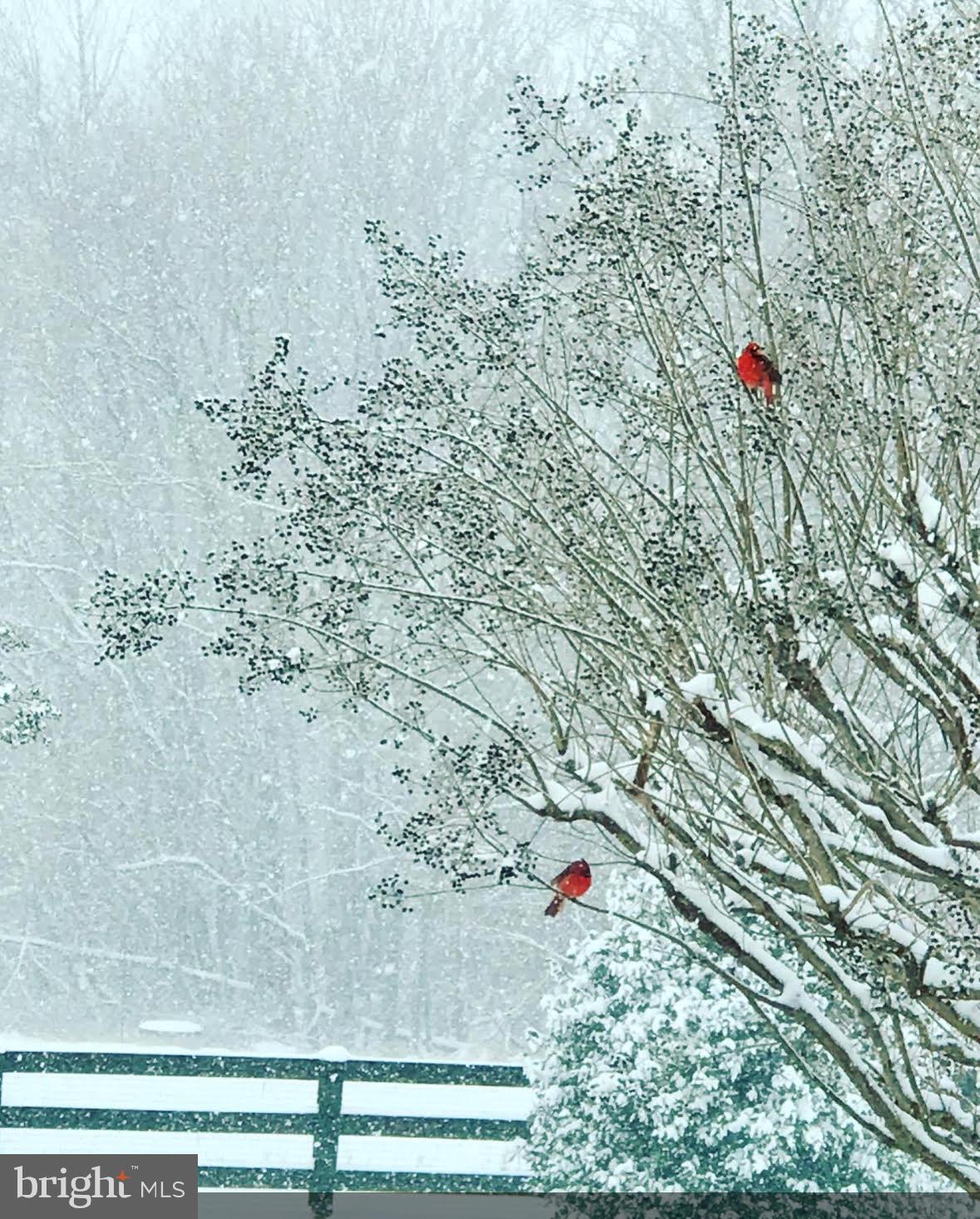 MOUNT GILEAD - Residential