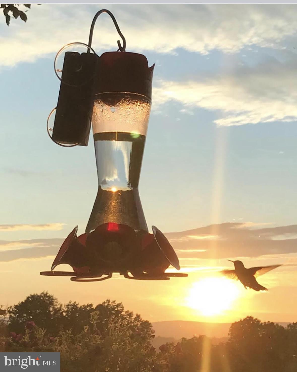 MOUNT GILEAD - Residential