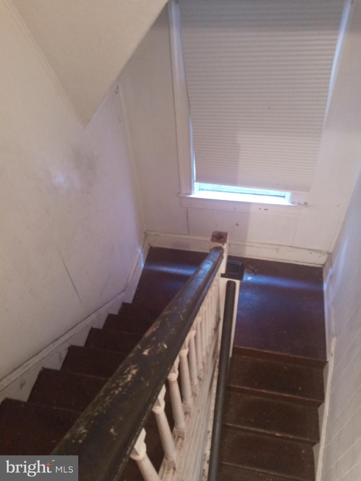 PEN LUCY - Residential