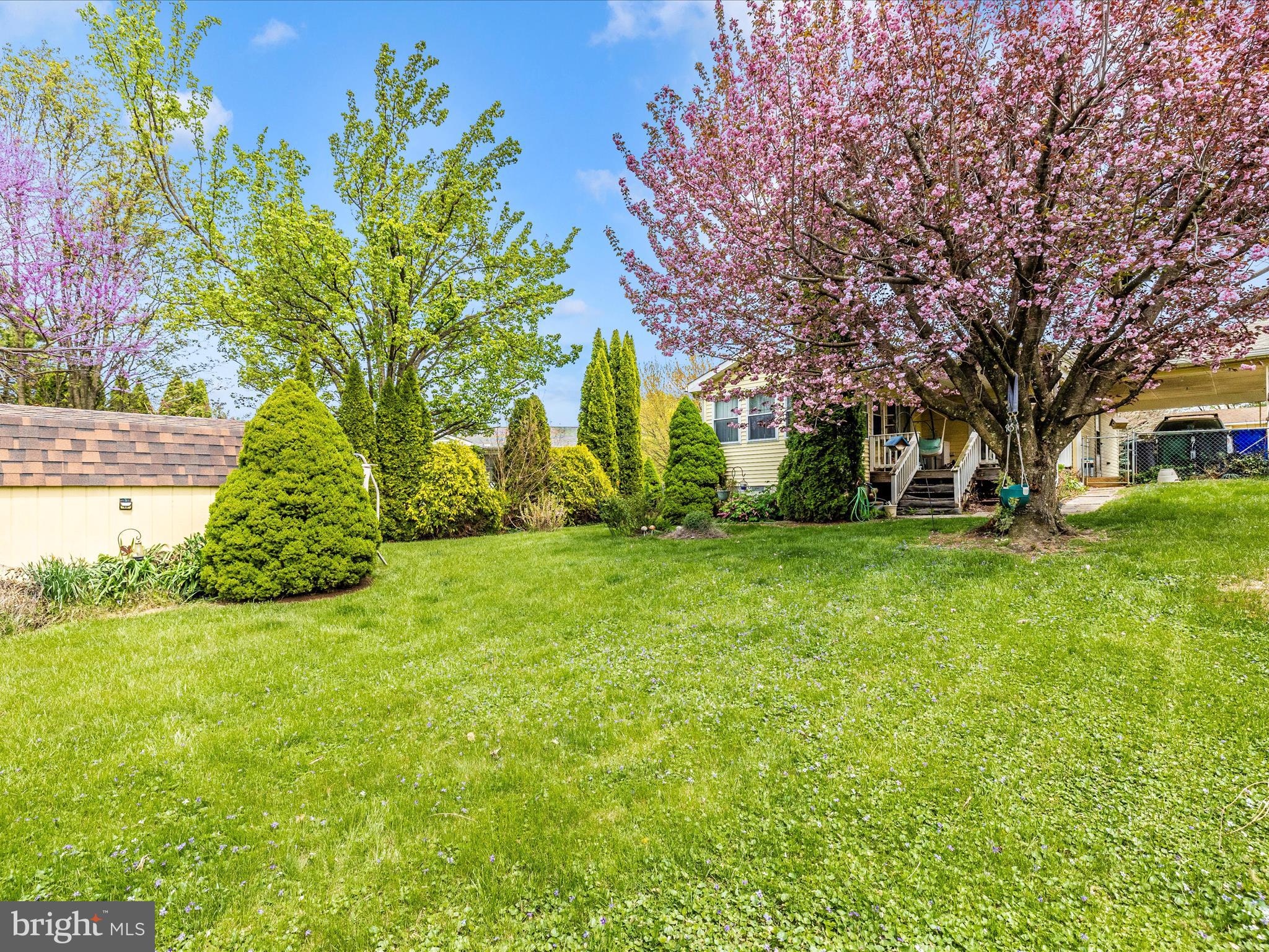 CARROLL HEIGHTS - Residential