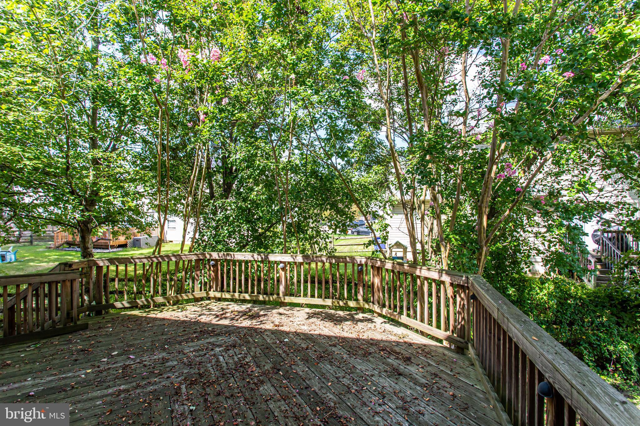 DORCHESTER - Residential