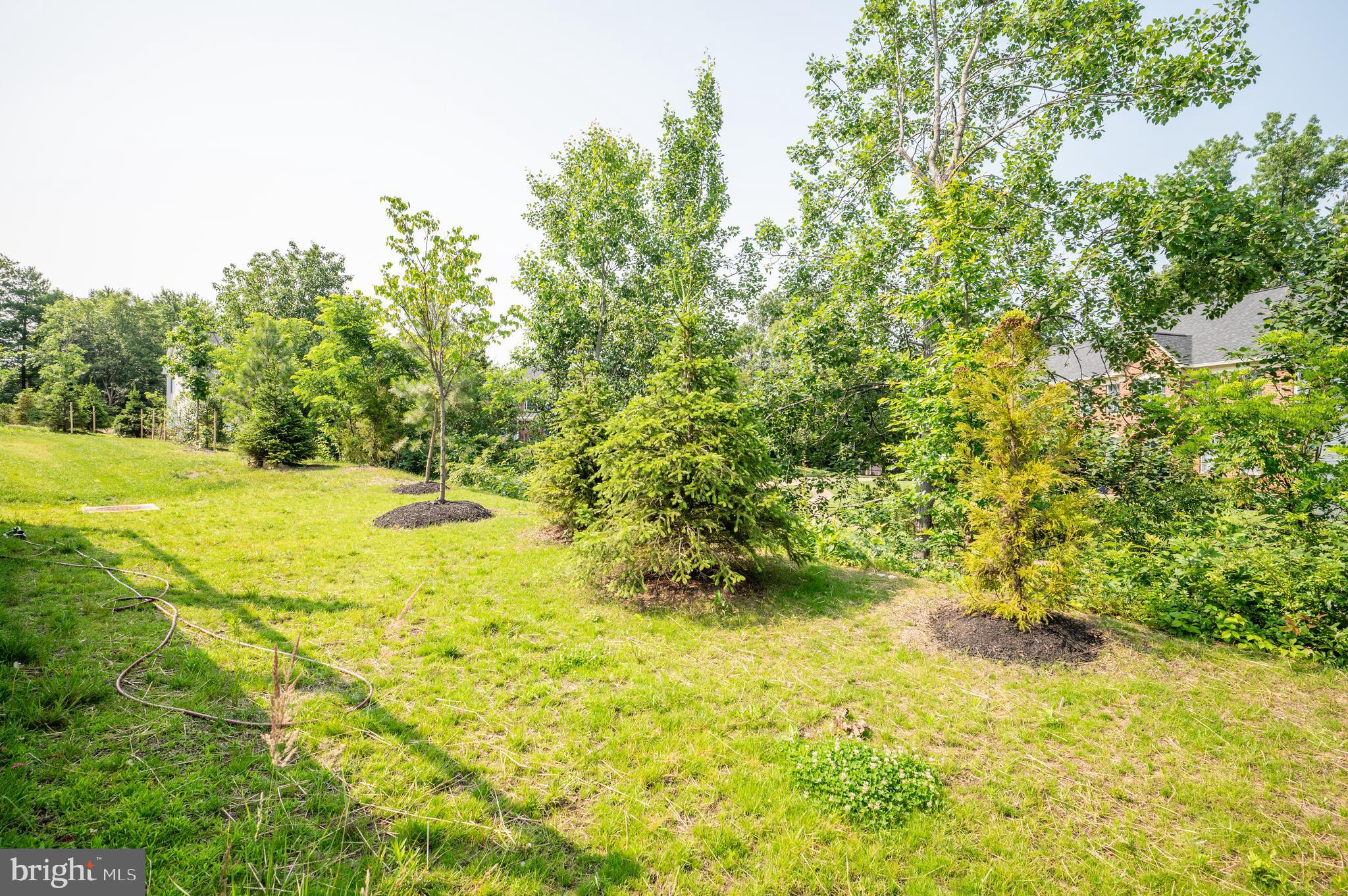 THE RESIDENCES AT MCCONNELL MANOR - Residential