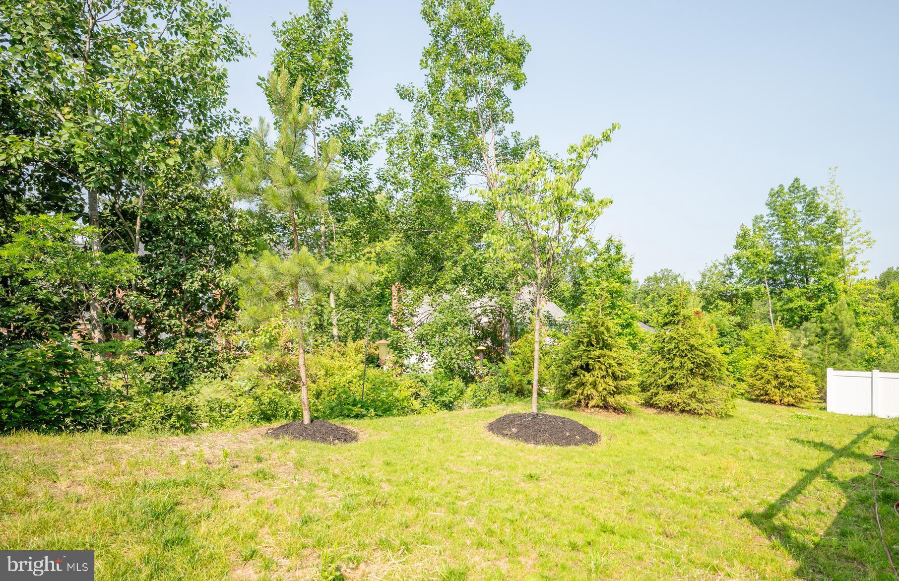 THE RESIDENCES AT MCCONNELL MANOR - Residential