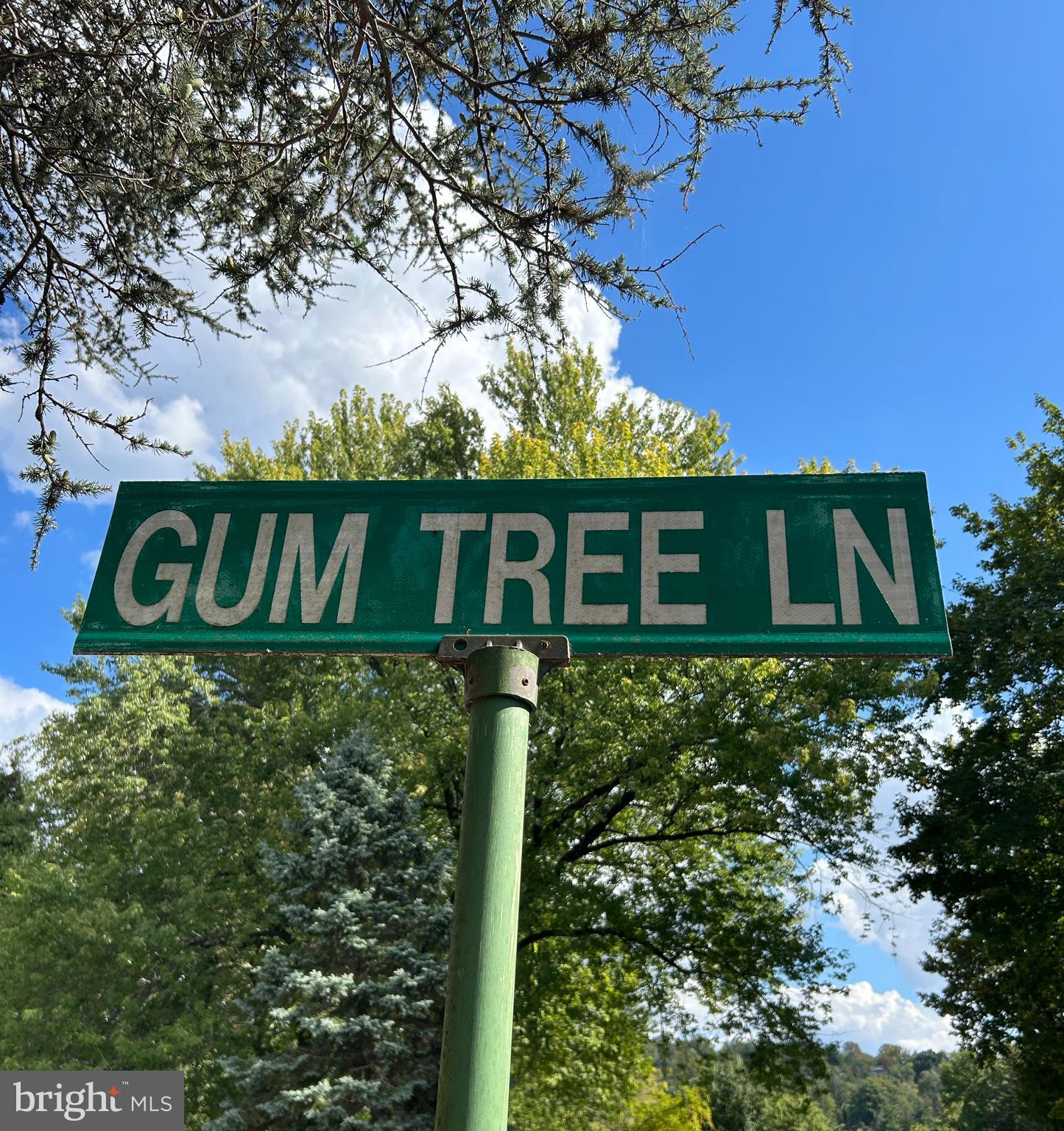 LAFAYETTE HILL - Residential