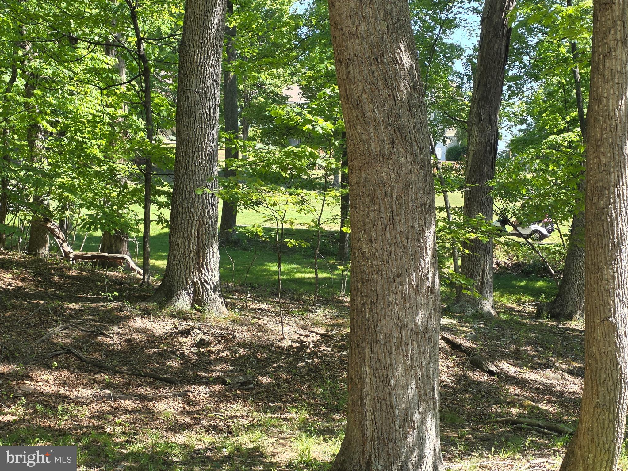 THE WOODS RESORT - Residential