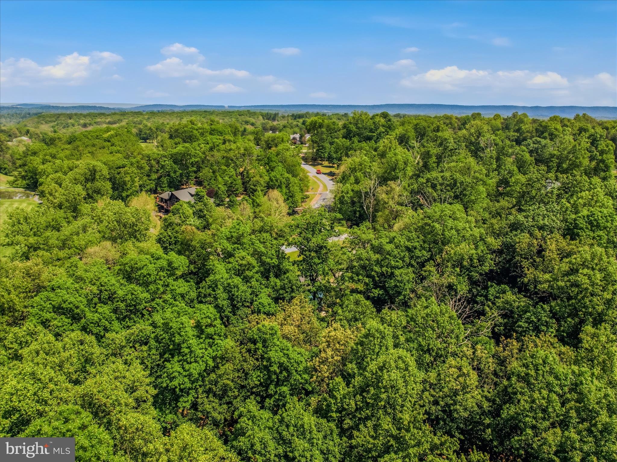 THE WOODS RESORT - Residential