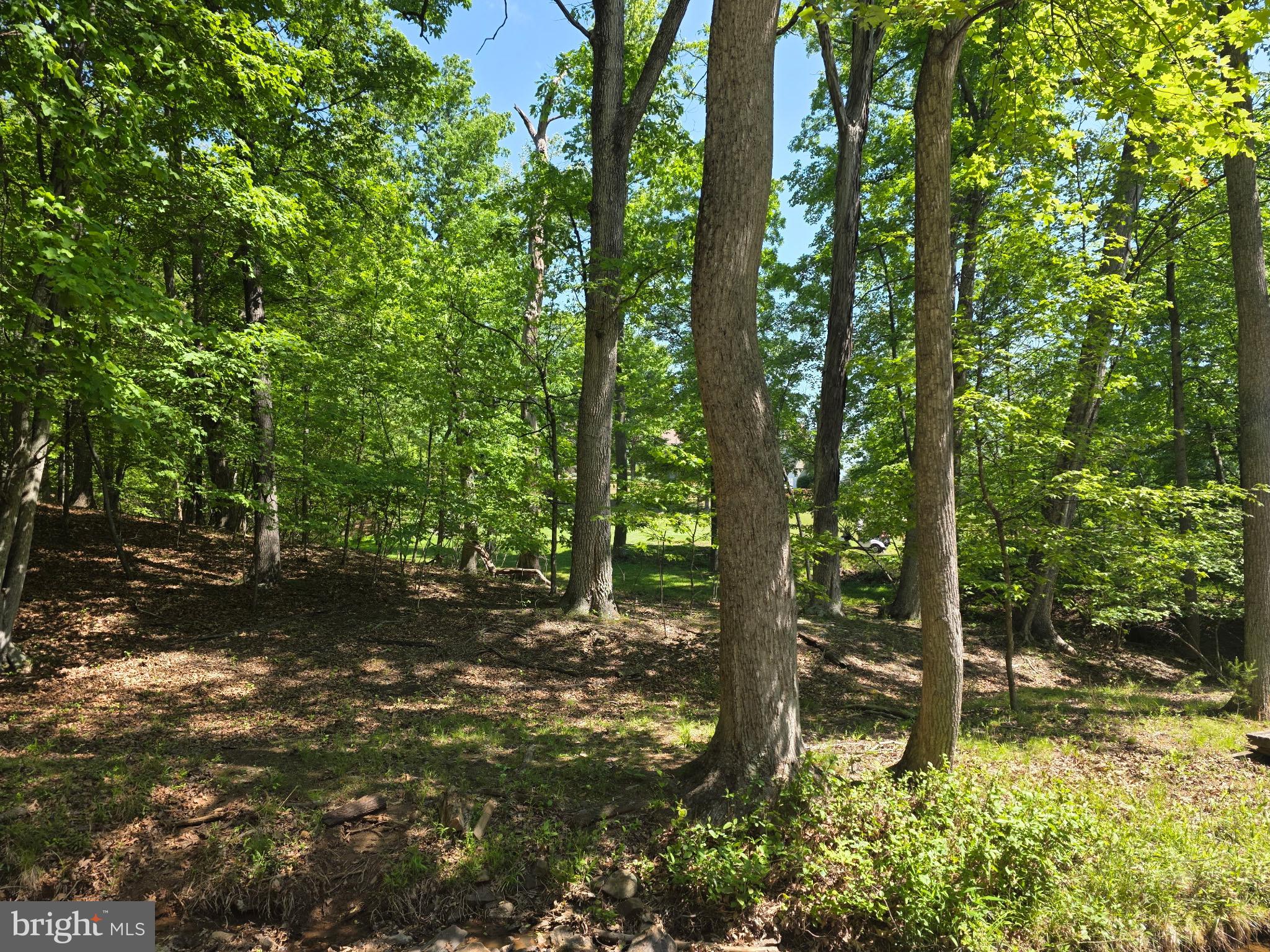 THE WOODS RESORT - Residential