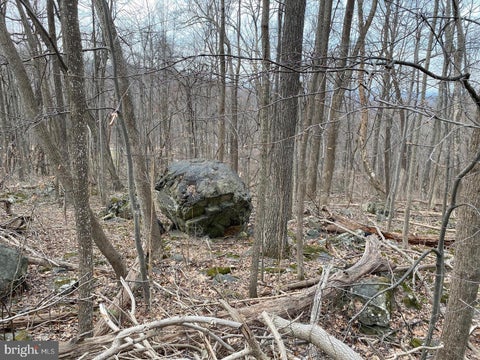 Vacant Land For Sale - Parkside Road<br/> Warren County, LINDEN, VA 22642