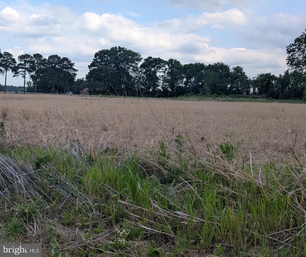 Lot 1 ZACATA ROAD - Photo 2