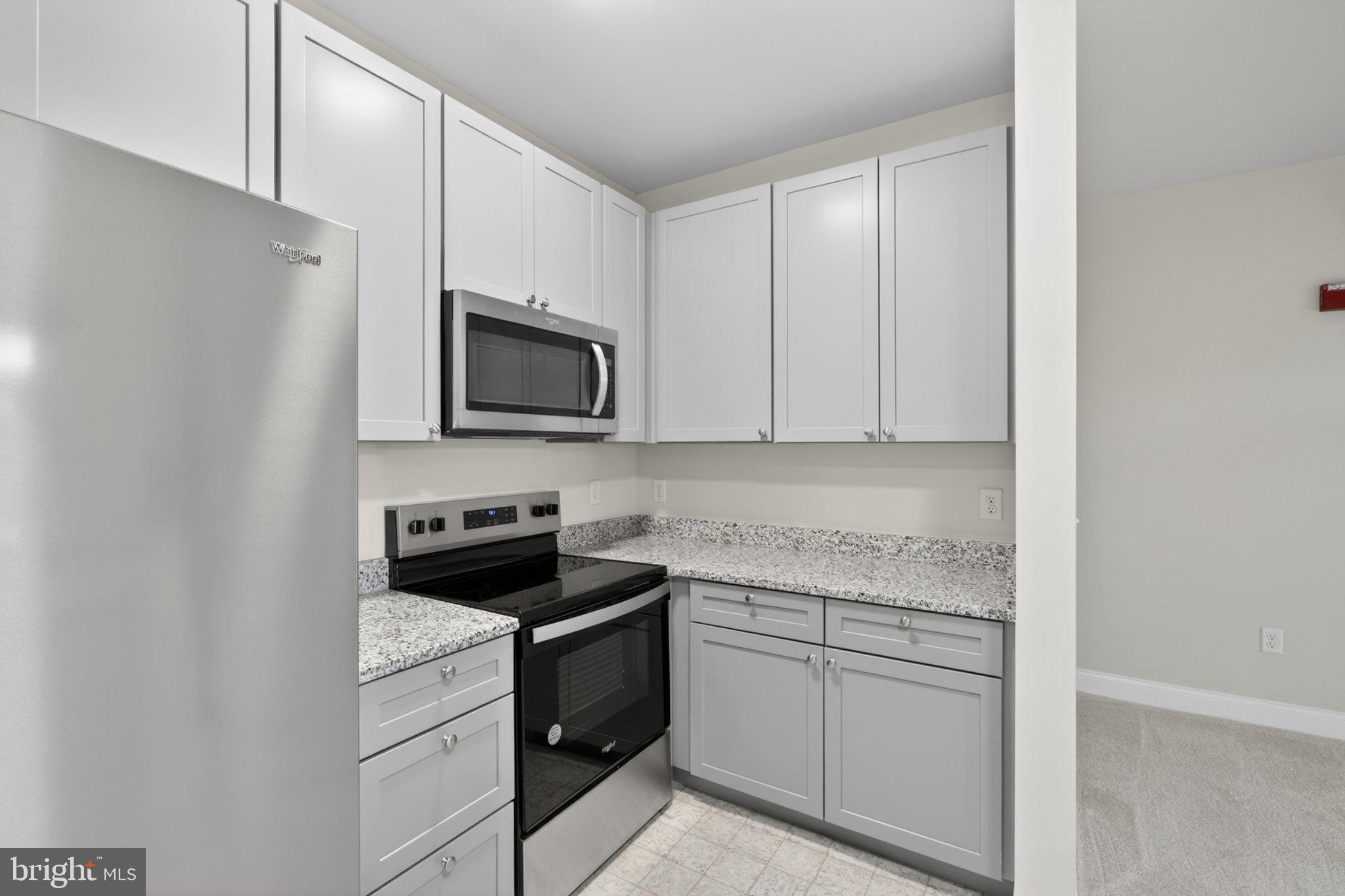 3000 FOUNTAINVIEW CIRCLE 3315