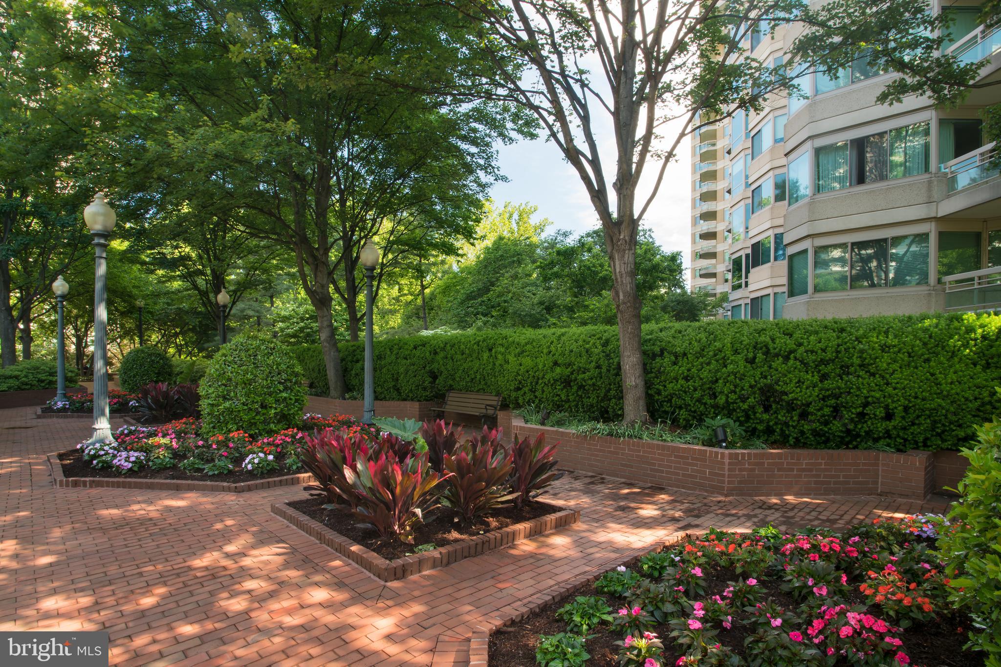 CHEVY CHASE - Residential