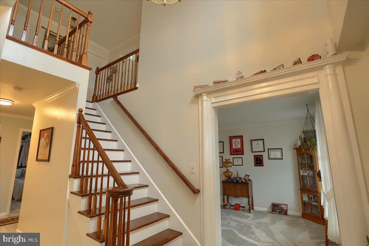 40 SCHOFIELD DRIVE