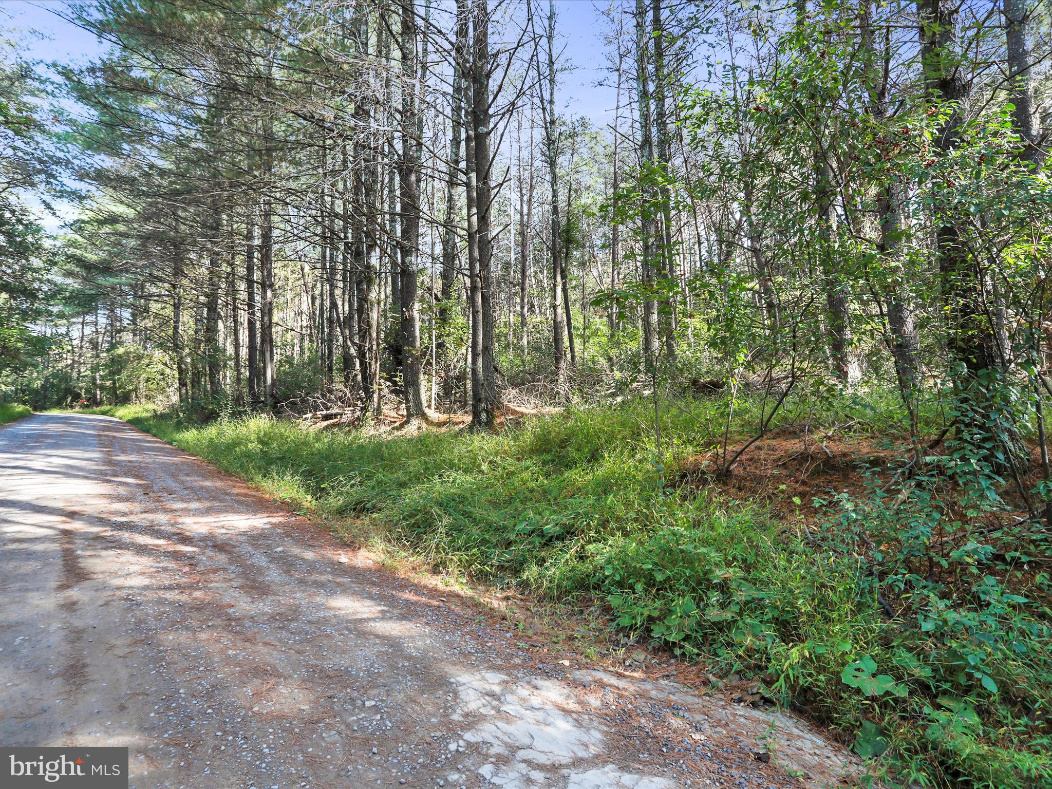 003 MOUNTAIN SLOPE LANE
