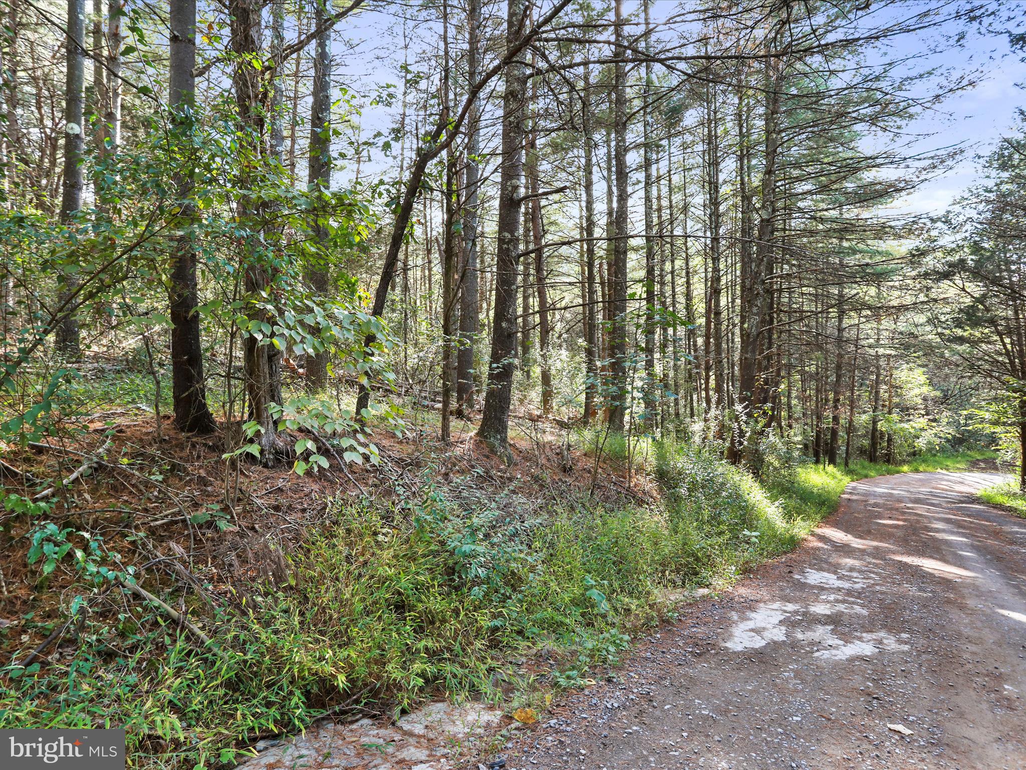 003 MOUNTAIN SLOPE LANE