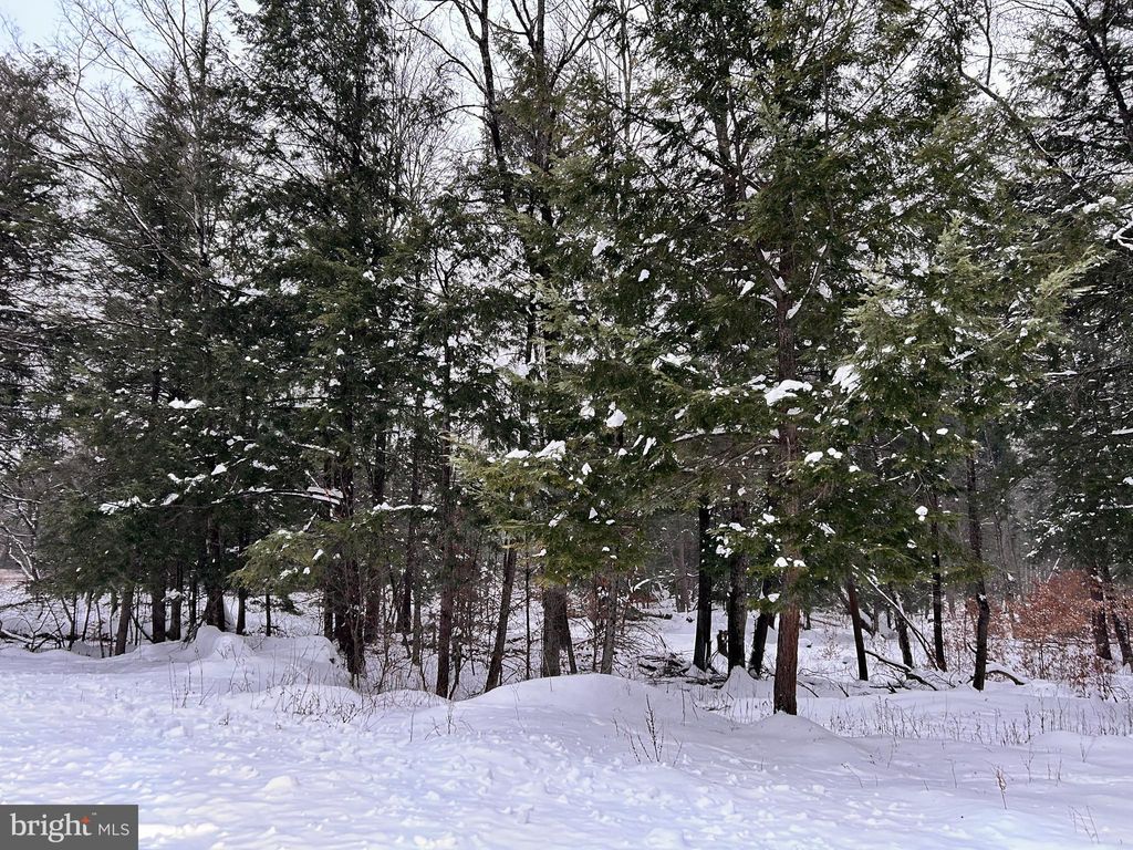 Photo of Tabernacle Road, CURWENSVILLE, PA 16833 (MLS # PACD2045088)