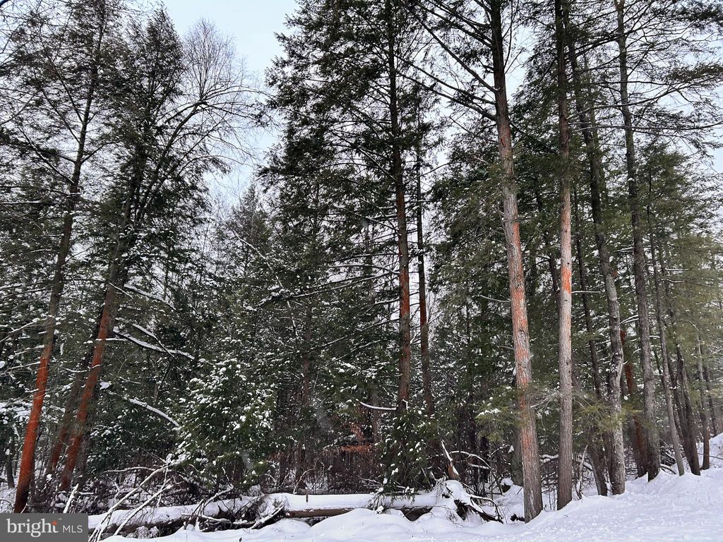 Photo of Tabernacle Road, CURWENSVILLE, PA 16833 (MLS # PACD2045088)