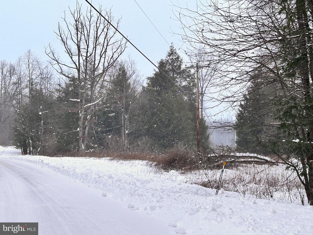 Photo of Tabernacle Road, CURWENSVILLE, PA 16833 (MLS # PACD2045088)