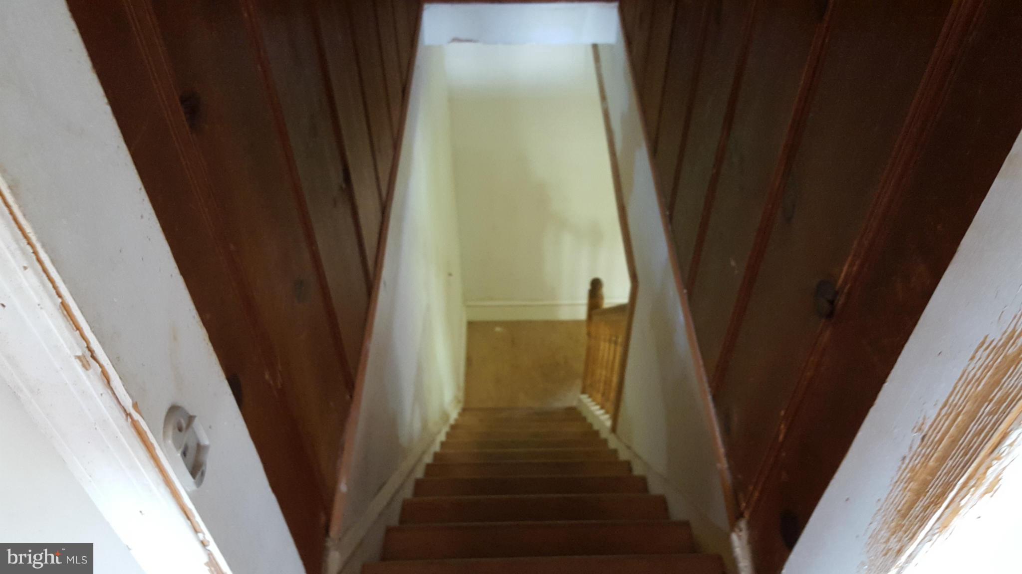 CHAMPION FOREST - Residential