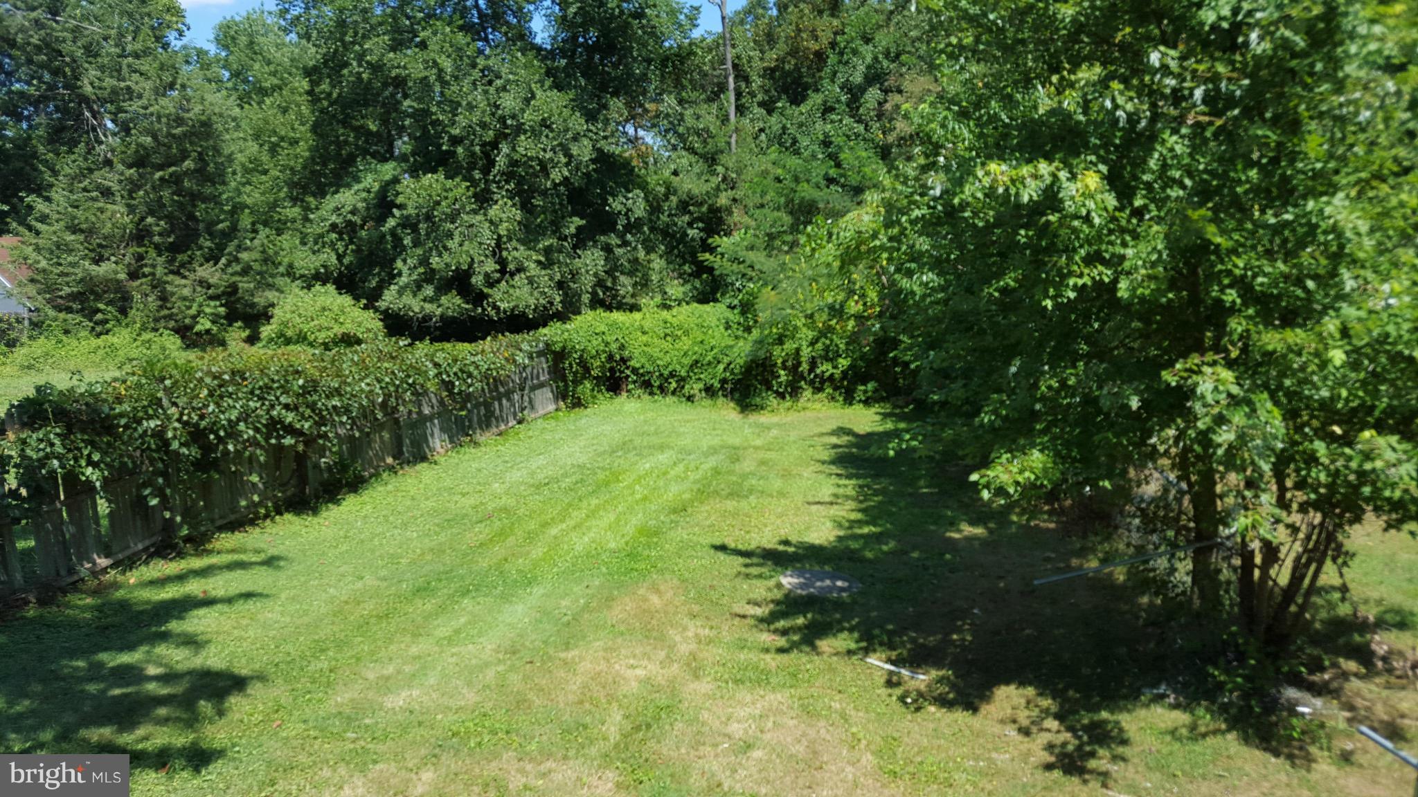 CHAMPION FOREST - Residential