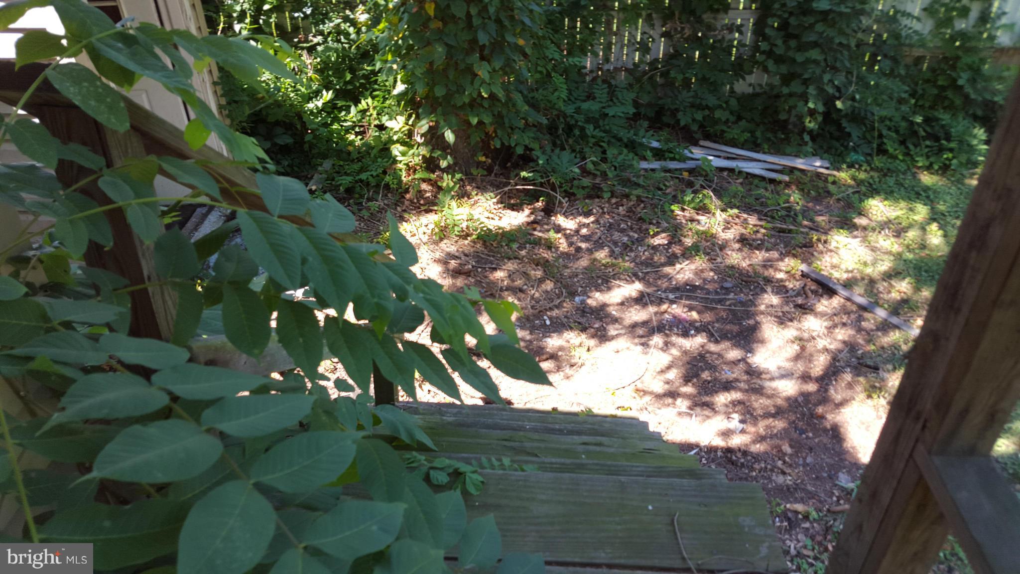 CHAMPION FOREST - Residential