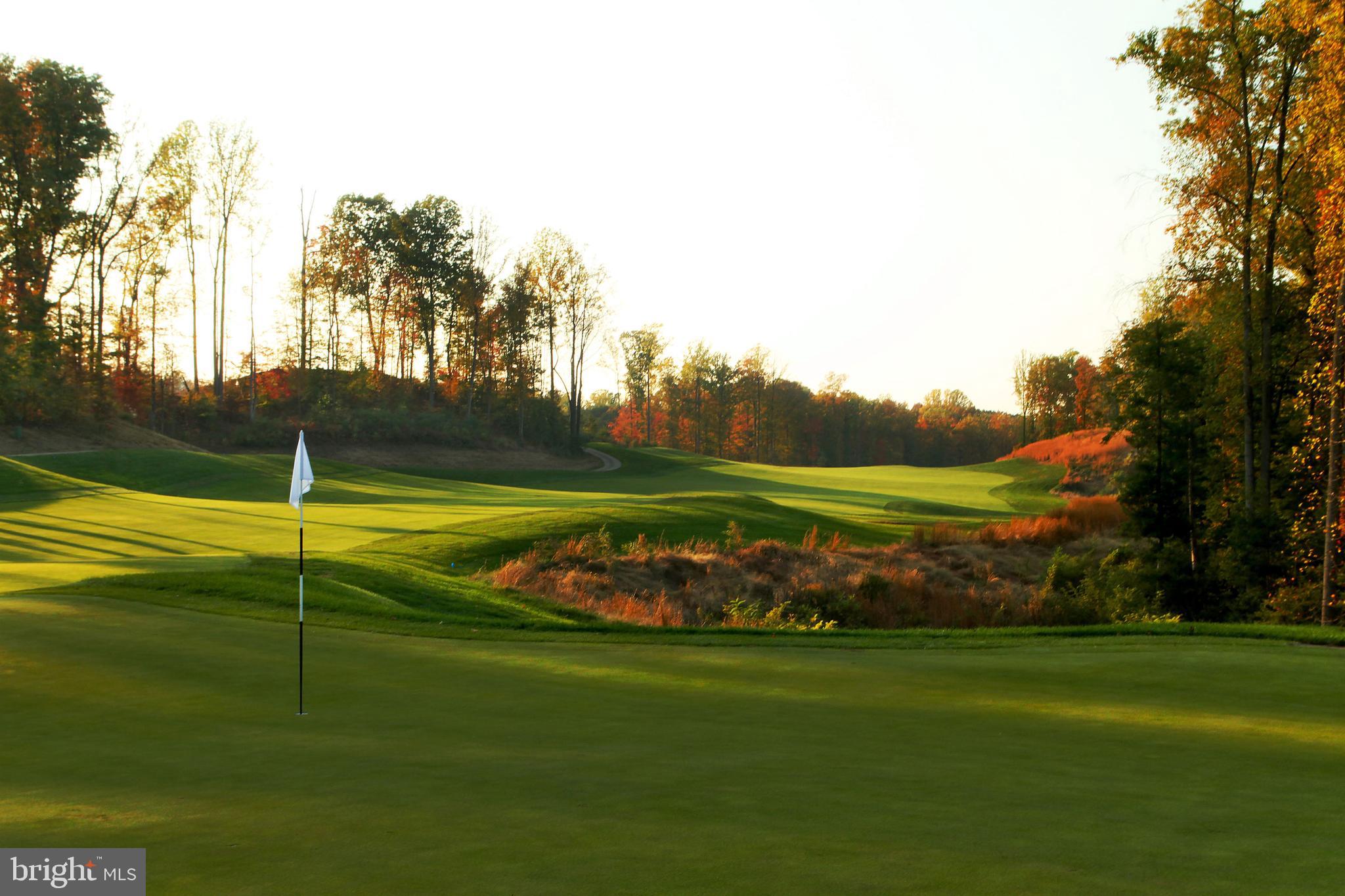 POTOMAC SHORES - Residential