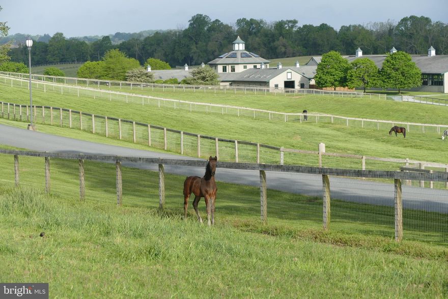 This offering marks an extraordinary opportunity to acquire one of North America’s most prestigious properties. While the 437.5 acre farm is globally celebrated for its history of breeding, training, and raising excellence and many world-class sport horse champions, the focus now turns to the sale of the physical estate, a masterpiece of equestrian infrastructure and natural beauty now available for its next chapter.
The property is defined by its remarkable landscape, featuring 200 wooded acres of mature trees, 220 acres of pastureland, and 15 acres of impervious structures across the gently rolling terrain of Cecil County. Bordered by 1.3 miles of tranquil waters of the Octoraro Creek, the land offers a rare combination of high-performance utility and serene privacy. The sale includes comprehensive, established equestrian infrastructure, highlighted by a 36-stall main barn, 2 outdoor arenas, 12 fields, 31 paddocks, 14 dwellings, 2 additional barns, and numerous equine facilities that have served as the benchmark for elite sport horse development for decades.  
The true value of Hilltop Farm’s footprint lies in its versatility; it is a canvas limited only by the scale of one’s imagination. While its equestrian pedigree is unrivaled, the estate invites a bold repurposing as a world-class Agri-Tourism Destination or a Private Legacy Compound. The riverfront and woodlands are perfectly suited for a Luxury Wellness Retreat, with riparian trails just a stone's throw from the urban corridors of Philadelphia, Baltimore, and DC. 
As this historic operational chapter concludes, the property is now positioned for a new curator to inherit a landscape of immense function and beauty.  This is a rare chance to own a sanctuary that has been both a stage for international sport and a community standard-bearer.