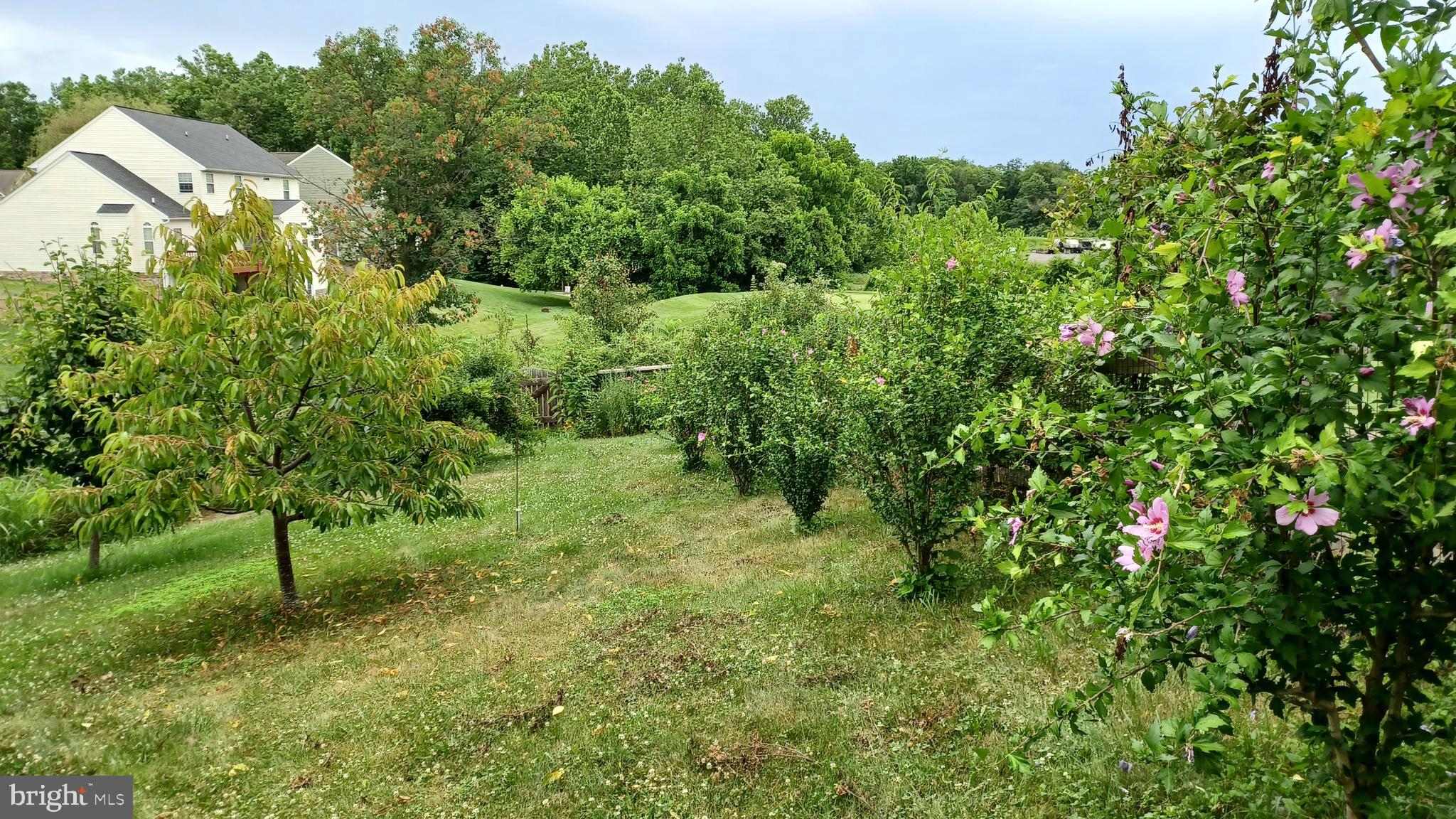 LOCUST HILL - Residential