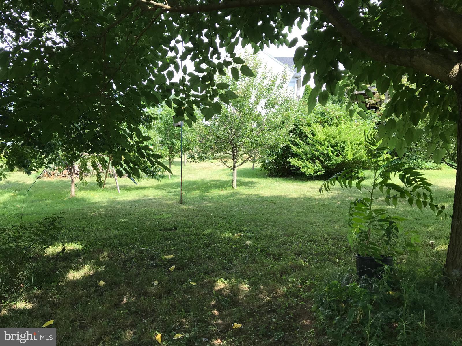 LOCUST HILL - Residential