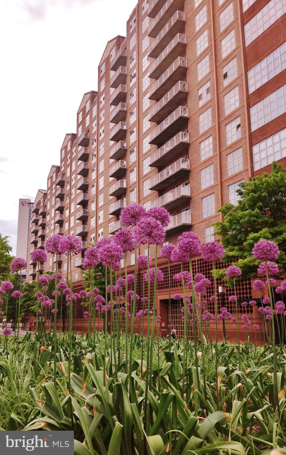 HARBOR EAST - Residential