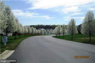 THE GALLERY - Residential Lease