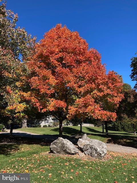 SEMINARY RIDGE - Residential