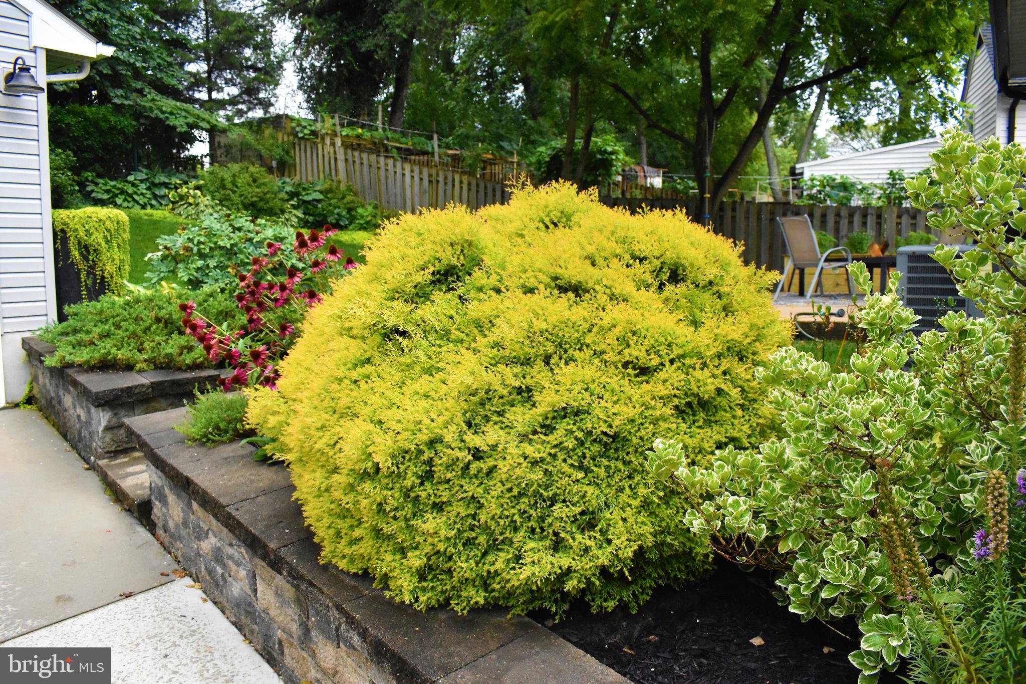 WHEATON WOODS - Residential