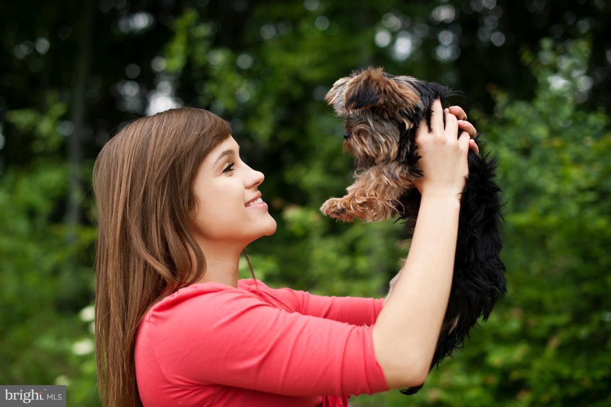 SHIPLEY HOMESTEAD - Residential
