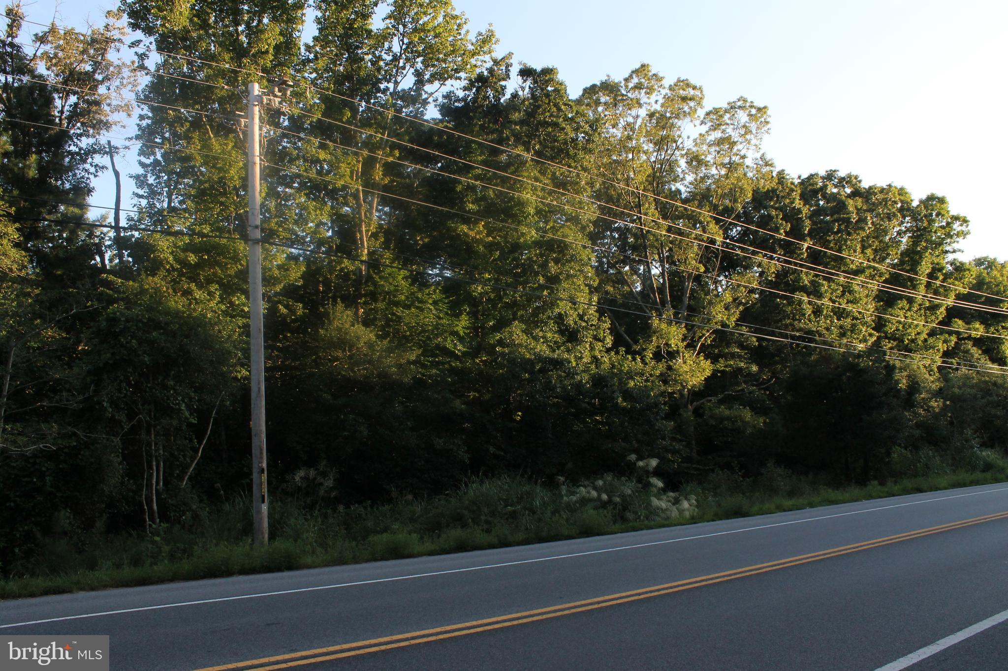 12335 BUDDS CREEK ROAD