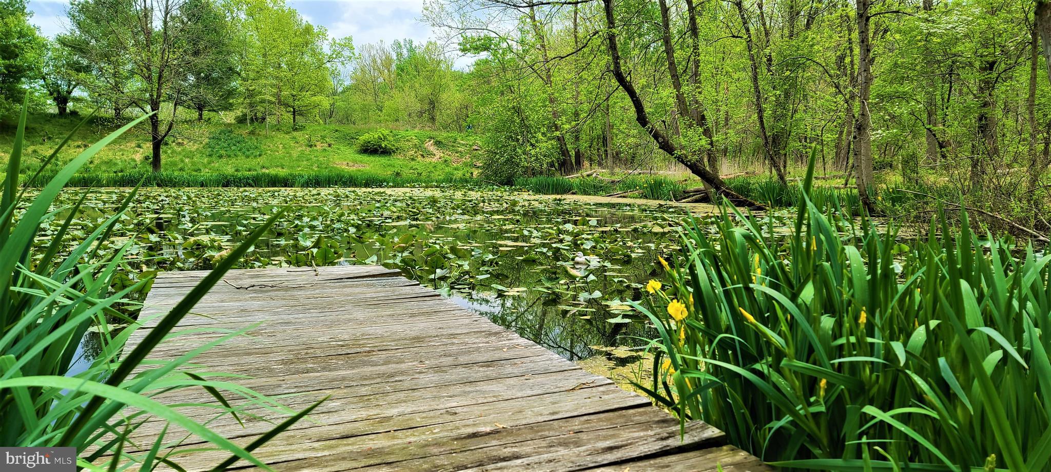 HUNT VALLEY - Residential