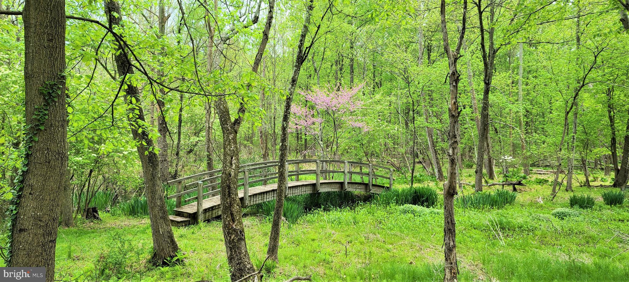 HUNT VALLEY - Residential