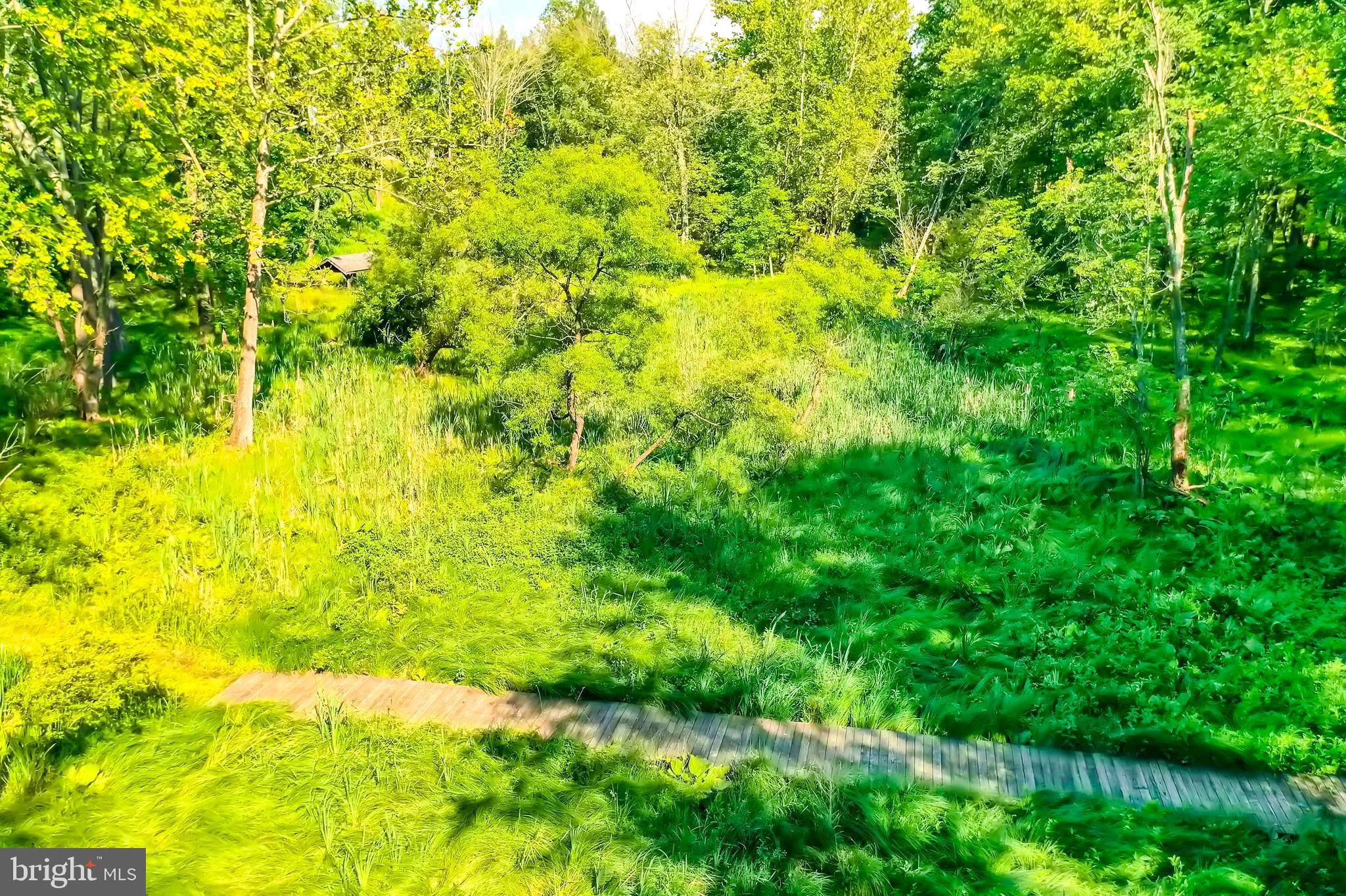 HUNT VALLEY - Residential