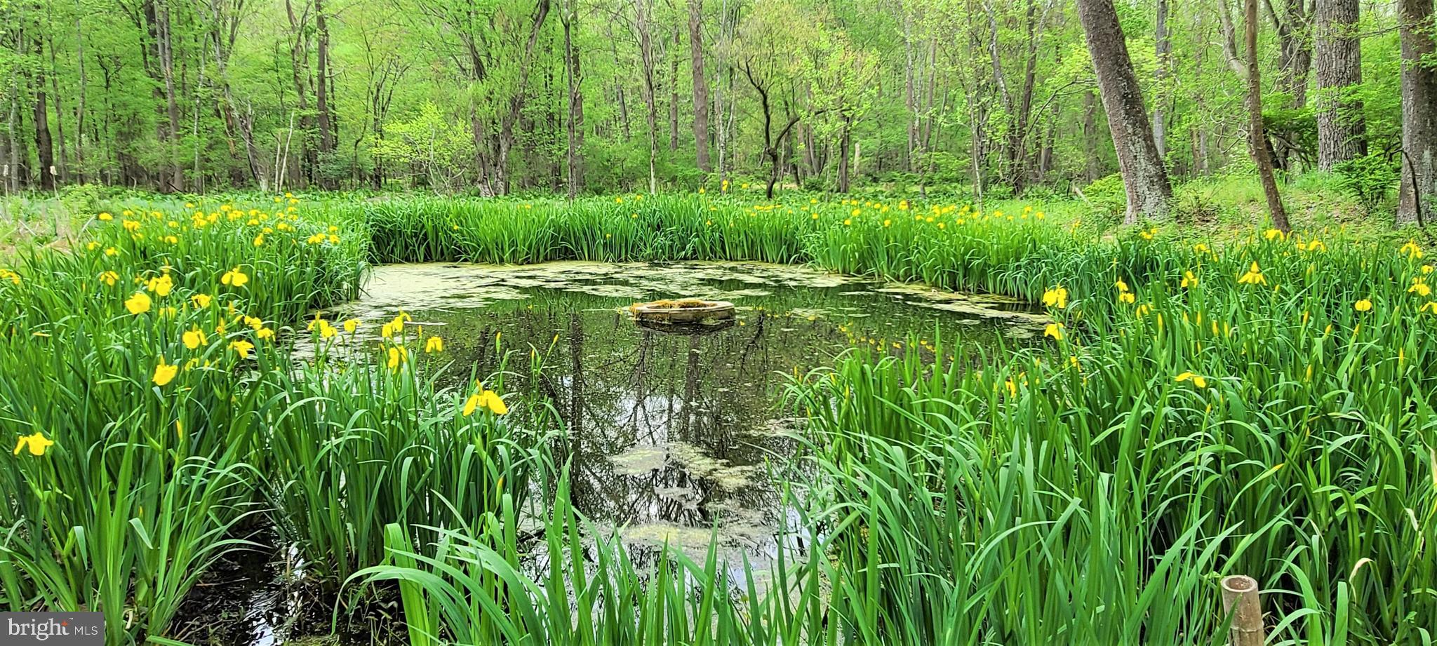 HUNT VALLEY - Residential