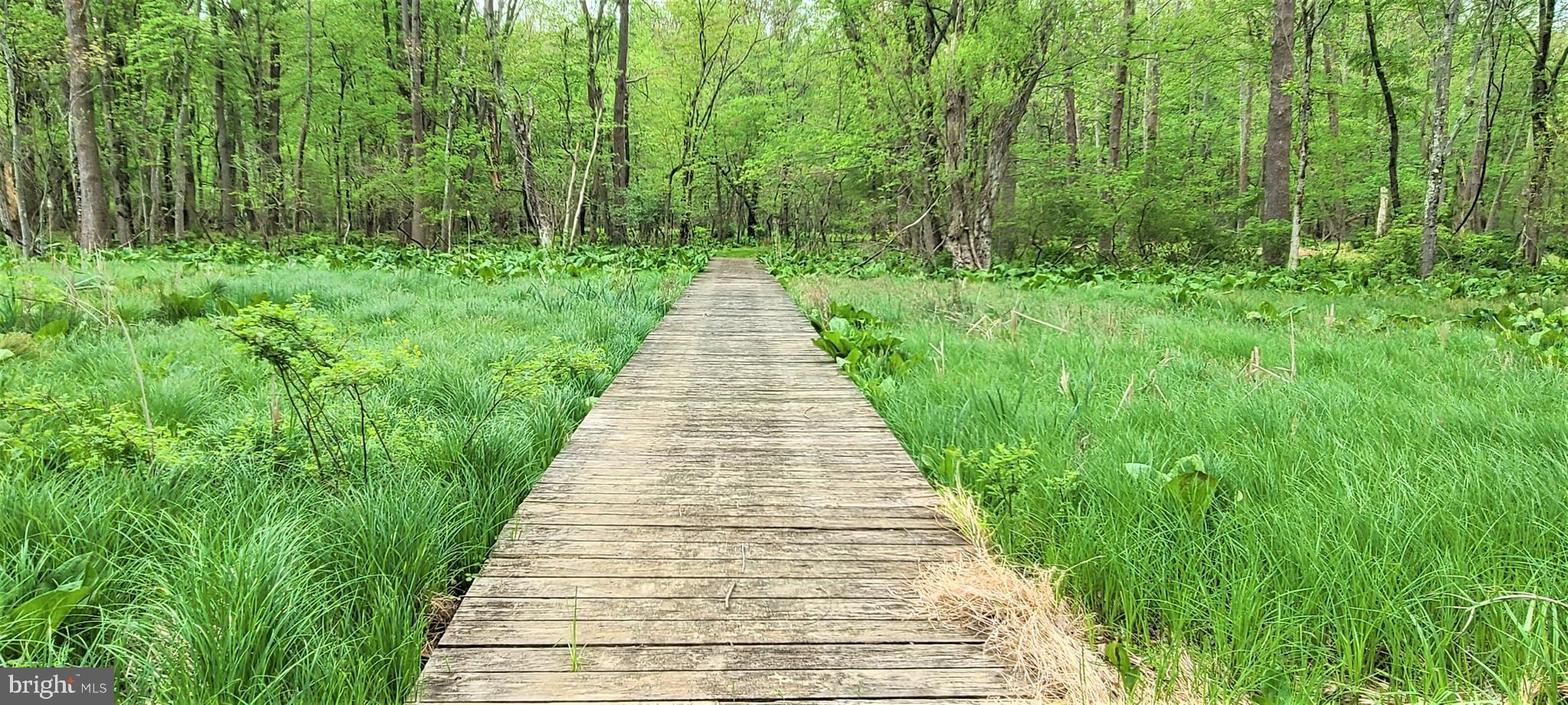 HUNT VALLEY - Residential